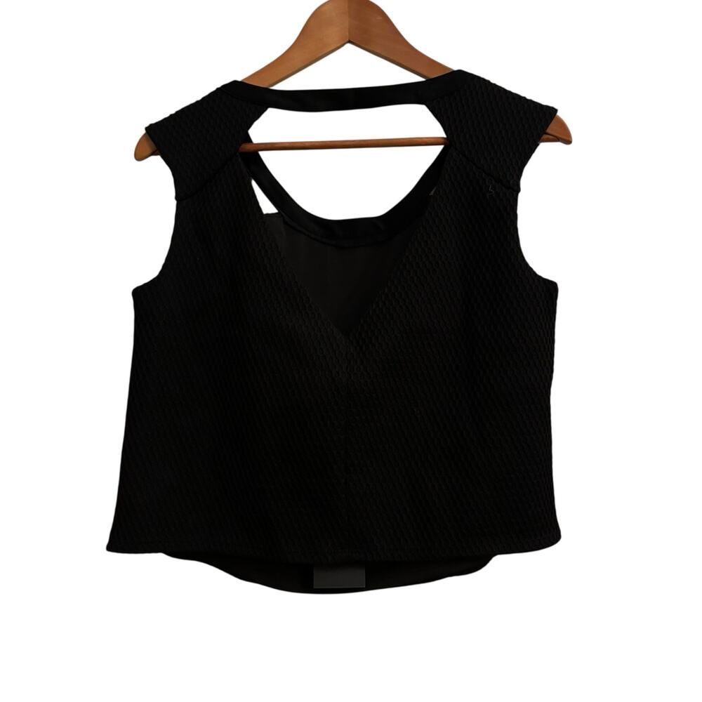 A.B.S. Collection Black Textured Stretch Top 1X NWT Structured Chic Minimalist - Picture 2 of 7